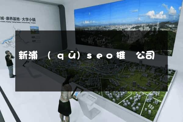 新浦區(qū)seo推廣公司