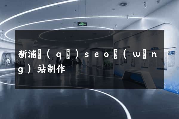 新浦區(qū)seo網(wǎng)站制作