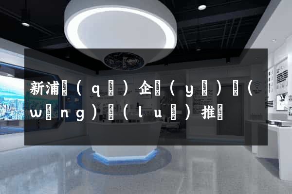 新浦區(qū)企業(yè)網(wǎng)絡(luò)推廣