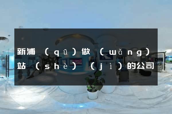 新浦區(qū)做網(wǎng)站設(shè)計(jì)的公司