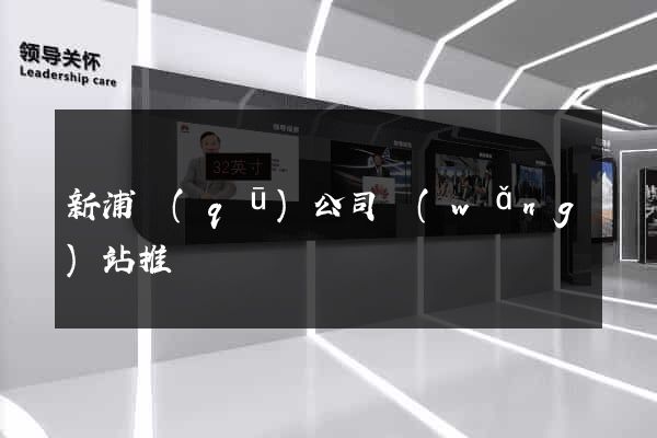 新浦區(qū)公司網(wǎng)站推廣