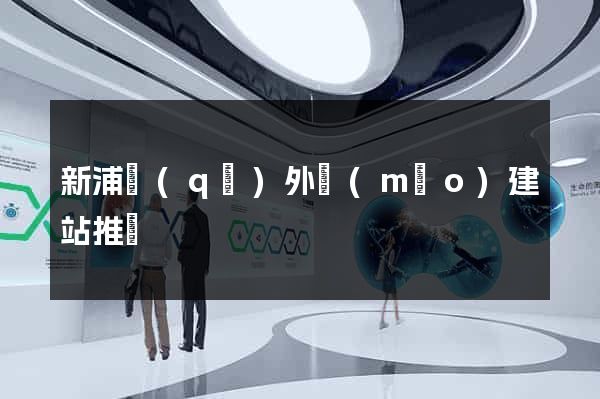 新浦區(qū)外貿(mào)建站推廣