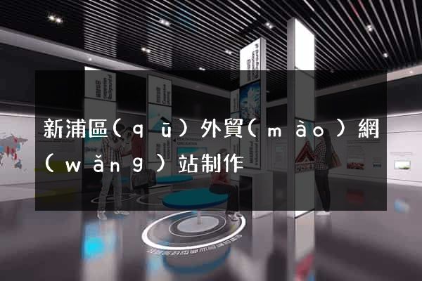 新浦區(qū)外貿(mào)網(wǎng)站制作