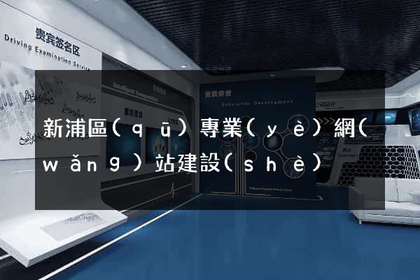 新浦區(qū)專業(yè)網(wǎng)站建設(shè)