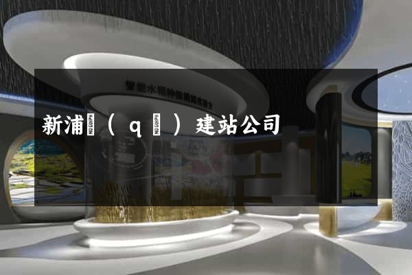 新浦區(qū)建站公司
