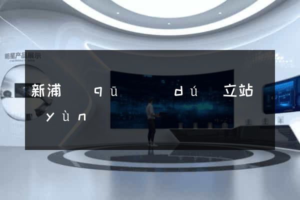 新浦區(qū)獨(dú)立站運(yùn)營