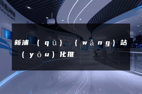新浦區(qū)網(wǎng)站優(yōu)化推廣