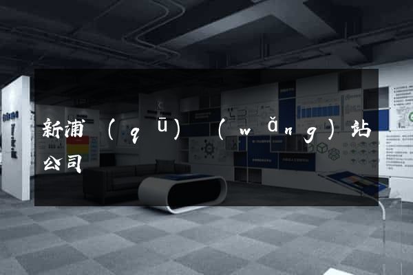 新浦區(qū)網(wǎng)站公司