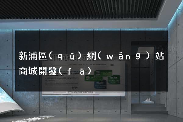 新浦區(qū)網(wǎng)站商城開發(fā)