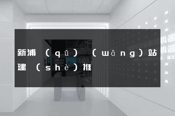 新浦區(qū)網(wǎng)站建設(shè)推廣