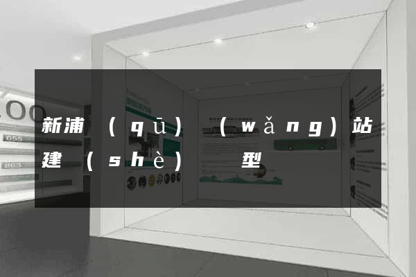 新浦區(qū)網(wǎng)站建設(shè)營銷型