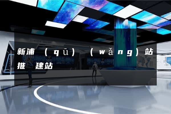 新浦區(qū)網(wǎng)站推廣建站