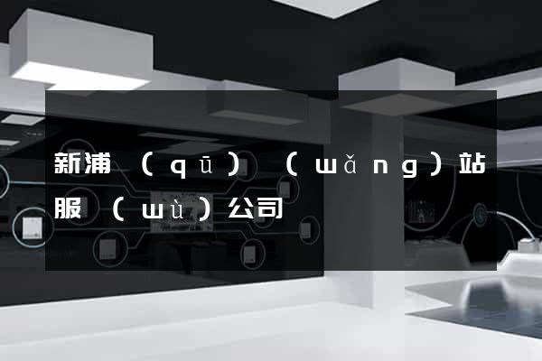 新浦區(qū)網(wǎng)站服務(wù)公司