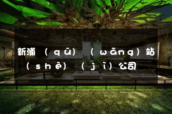 新浦區(qū)網(wǎng)站設(shè)計(jì)公司