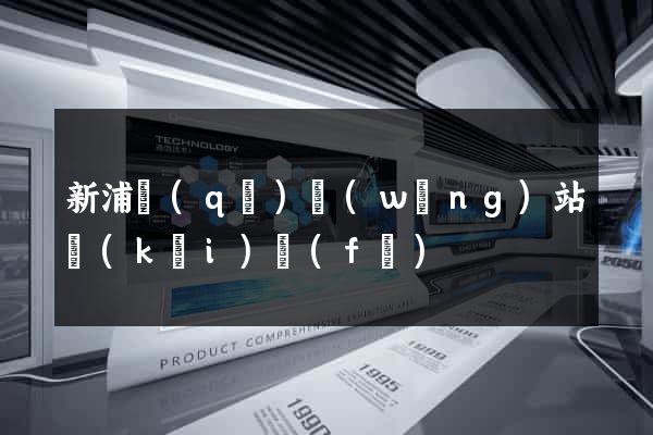 新浦區(qū)網(wǎng)站開(kāi)發(fā)