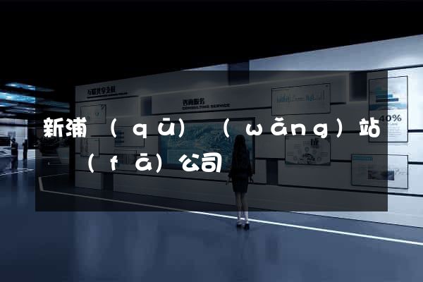 新浦區(qū)網(wǎng)站開發(fā)公司