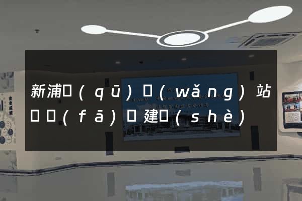 新浦區(qū)網(wǎng)站開發(fā)與建設(shè)