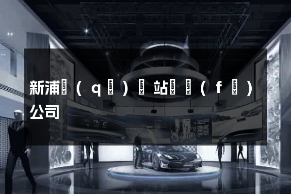 新浦區(qū)網站開發(fā)公司