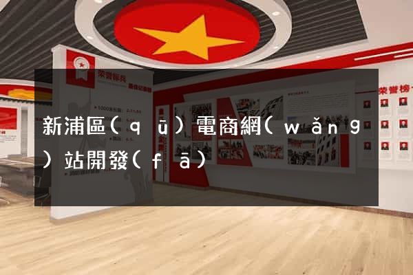 新浦區(qū)電商網(wǎng)站開發(fā)