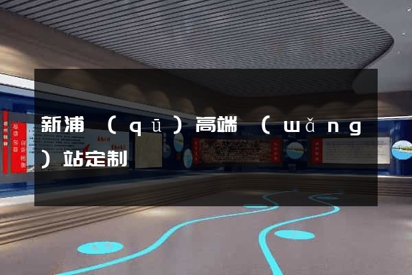 新浦區(qū)高端網(wǎng)站定制