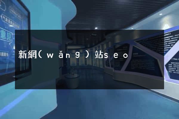 新網(wǎng)站seo