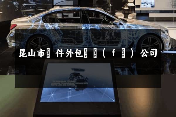 昆山市軟件外包開發(fā)公司