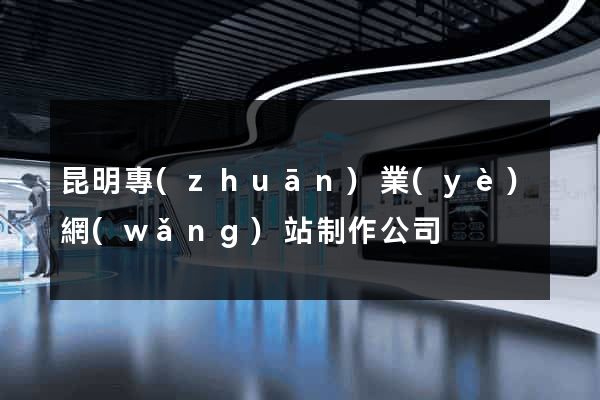 昆明專(zhuān)業(yè)網(wǎng)站制作公司