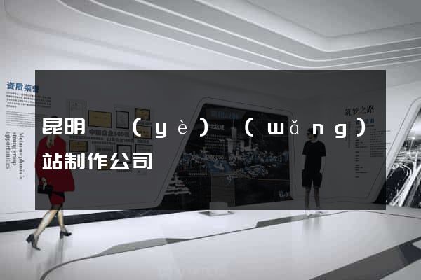 昆明專業(yè)網(wǎng)站制作公司