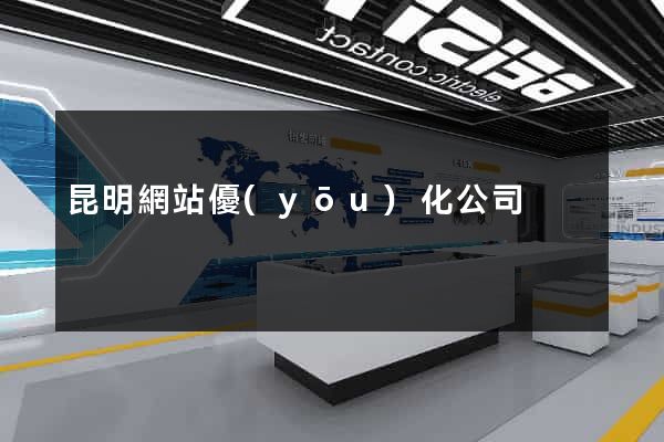 昆明網站優(yōu)化公司