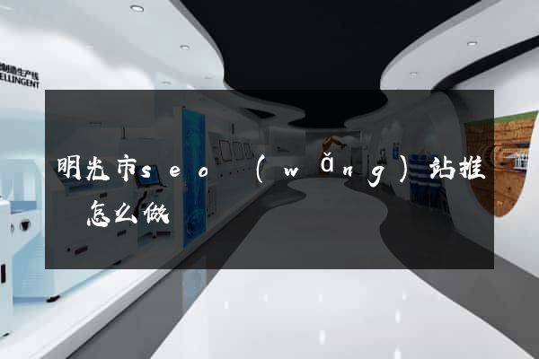 明光市seo網(wǎng)站推廣怎么做