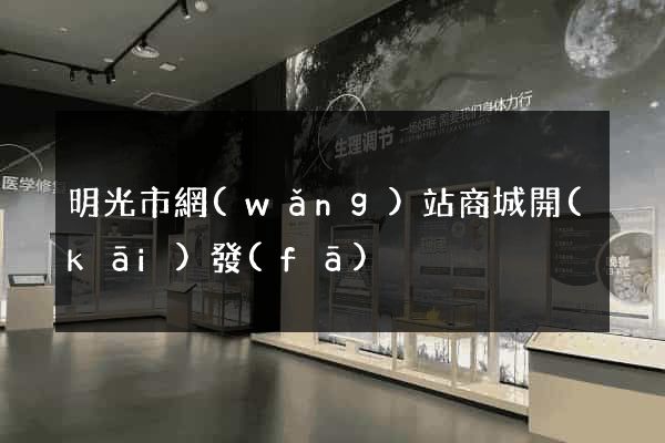 明光市網(wǎng)站商城開(kāi)發(fā)