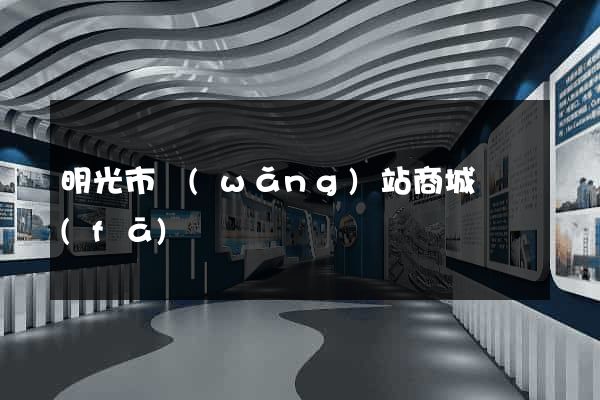 明光市網(wǎng)站商城開發(fā)