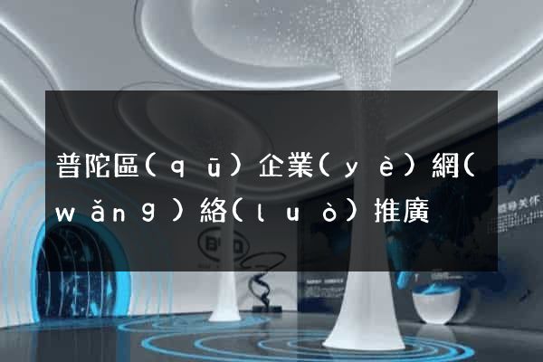 普陀區(qū)企業(yè)網(wǎng)絡(luò)推廣