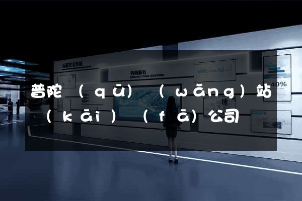 普陀區(qū)網(wǎng)站開(kāi)發(fā)公司