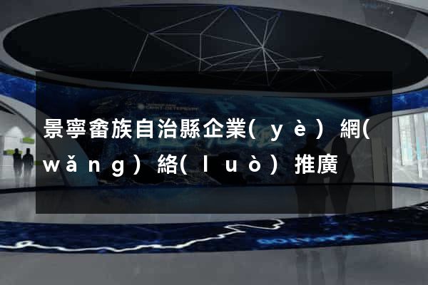 景寧畬族自治縣企業(yè)網(wǎng)絡(luò)推廣