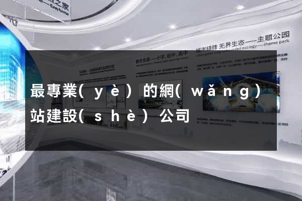 最專業(yè)的網(wǎng)站建設(shè)公司