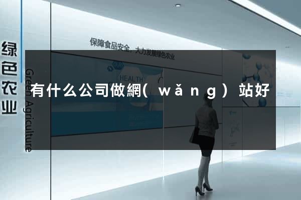 有什么公司做網(wǎng)站好