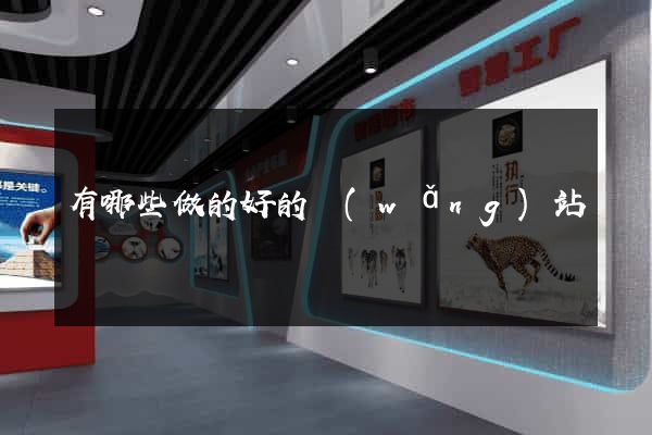 有哪些做的好的網(wǎng)站