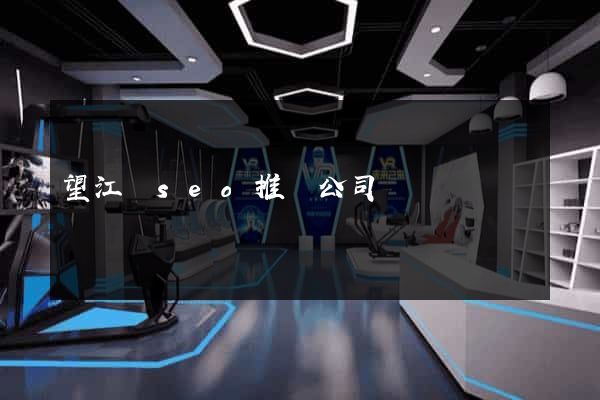 望江縣seo推廣公司