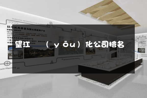 望江縣優(yōu)化公司排名