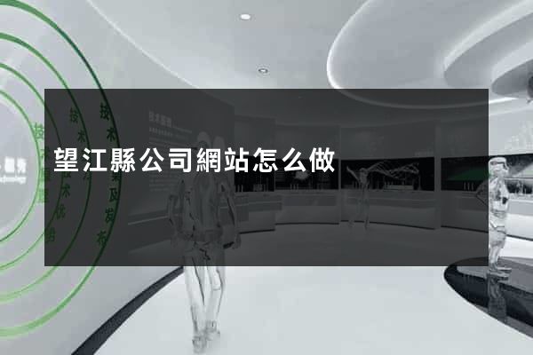 望江縣公司網站怎么做