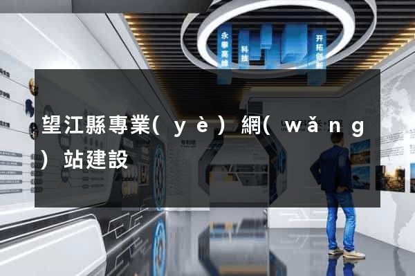 望江縣專業(yè)網(wǎng)站建設