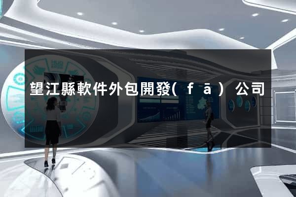 望江縣軟件外包開發(fā)公司