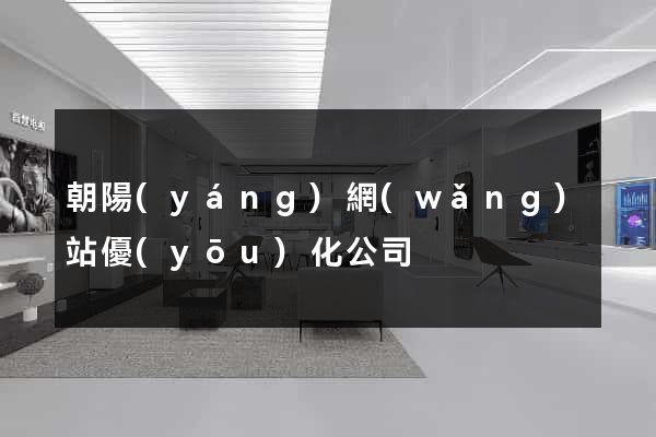 朝陽(yáng)網(wǎng)站優(yōu)化公司