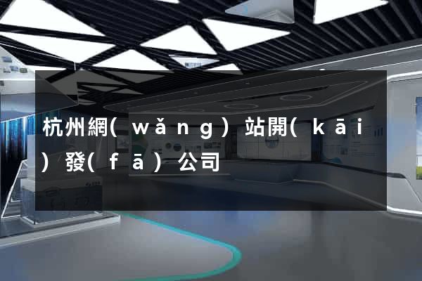 杭州網(wǎng)站開(kāi)發(fā)公司