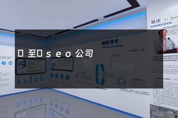 東至縣seo公司