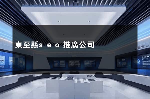 東至縣seo推廣公司
