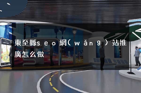 東至縣seo網(wǎng)站推廣怎么做