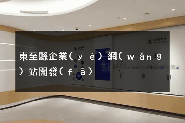 東至縣企業(yè)網(wǎng)站開發(fā)