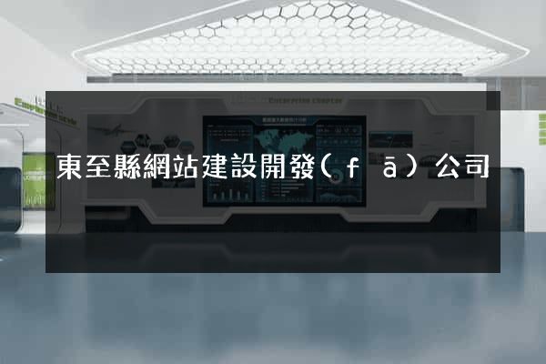 東至縣網站建設開發(fā)公司